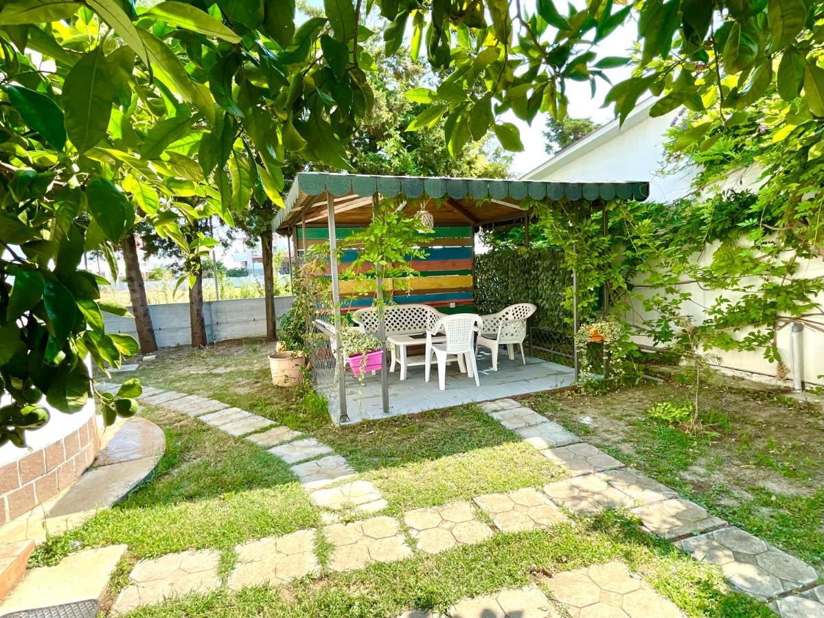 Apartments Flamingo 울친 외부 사진