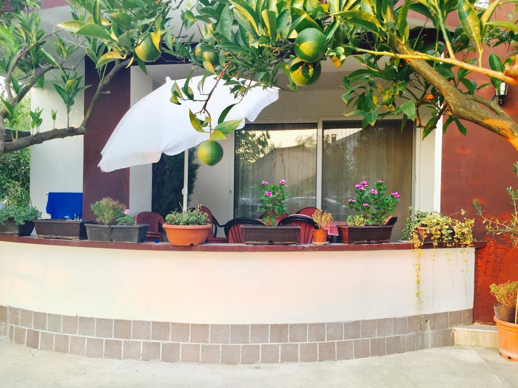 Apartments Flamingo 울친 외부 사진